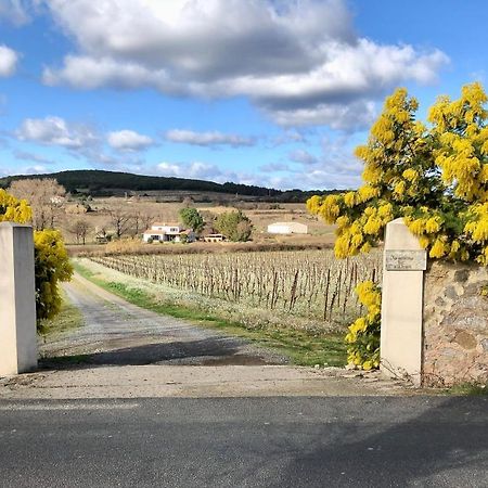 Domaine De Peilhan Roujan Kültér fotó