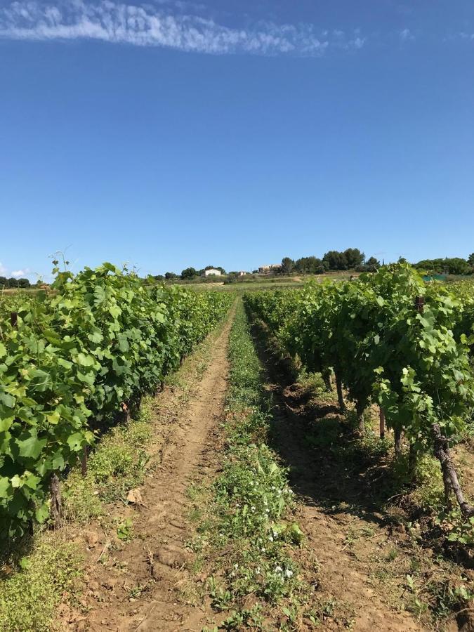Domaine De Peilhan Roujan Kültér fotó