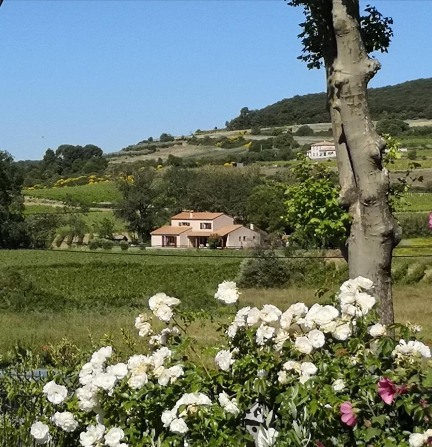 Domaine De Peilhan Roujan Kültér fotó