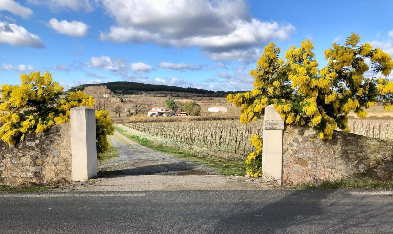 Domaine De Peilhan Roujan Kültér fotó