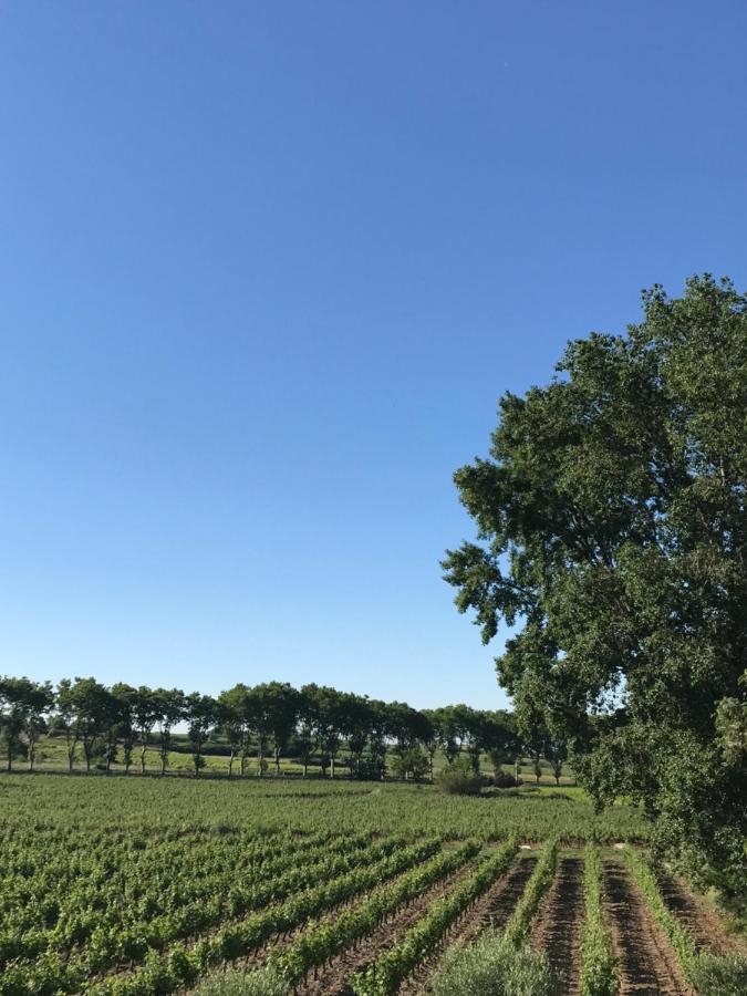 Domaine De Peilhan Roujan Kültér fotó